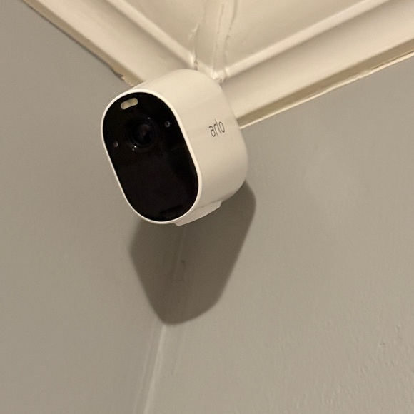 Arlo - Picture 3 of 6